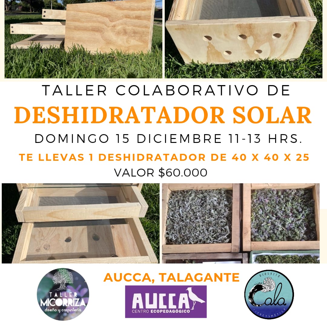 Taller de Deshidratación de alimentos más Deshidratador de regalo