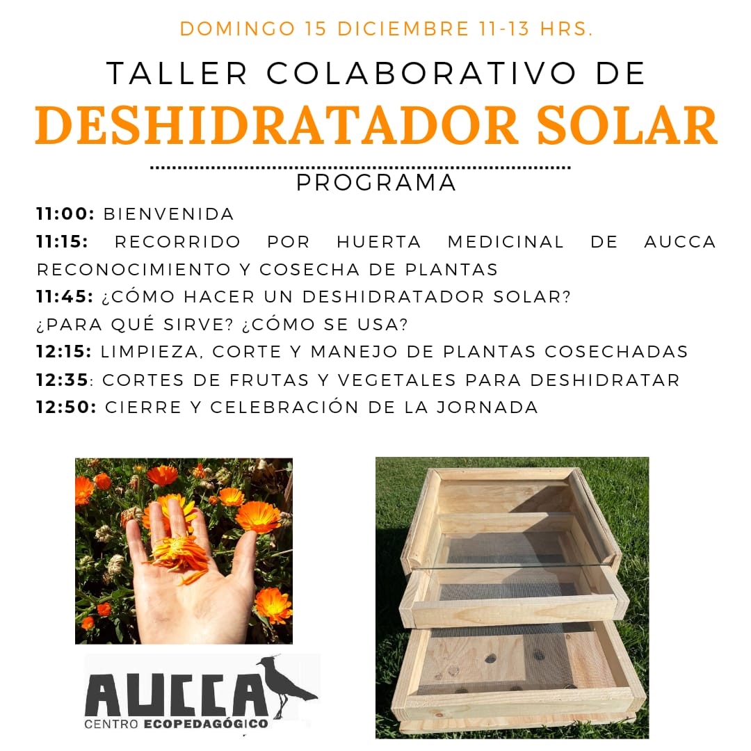 Taller de Deshidratación de alimentos más Deshidratador de regalo